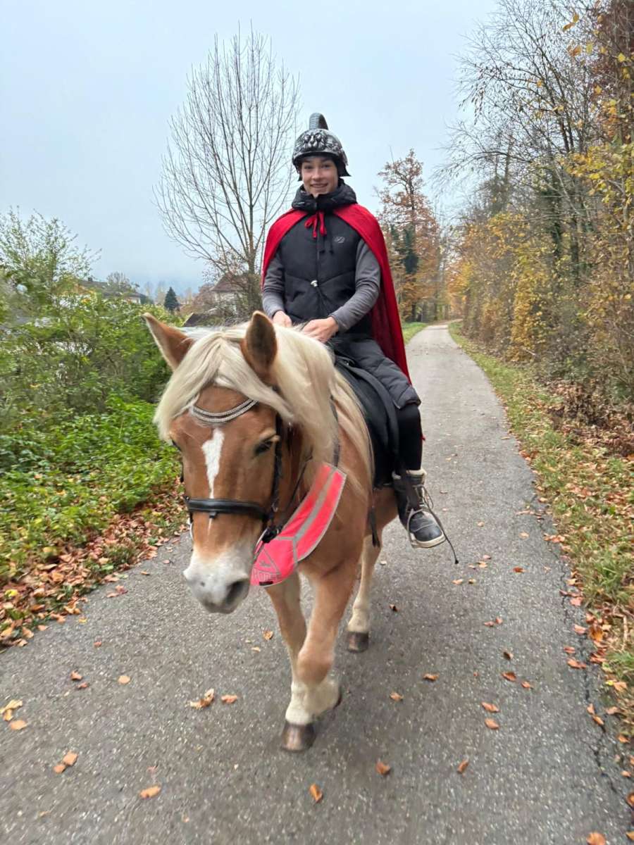 Sankt-Martins Umzug 2025 (1)