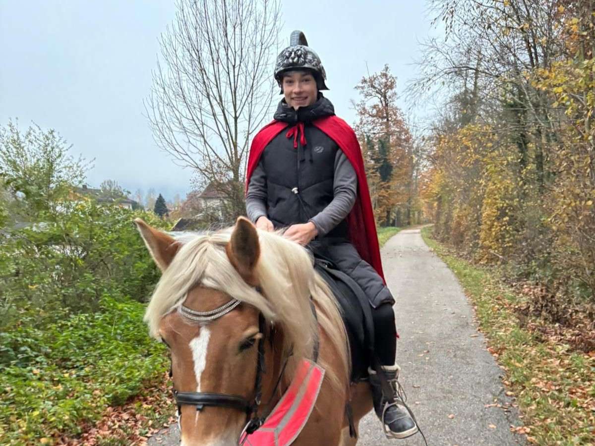 Sankt-Martins Umzug 2025 (1b)