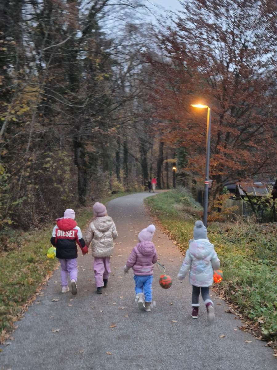 Sankt-Martins Umzug 2025 (3)